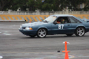 IMG_1239