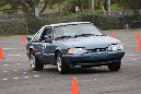 IMG_1241